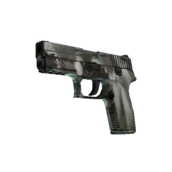 P250
